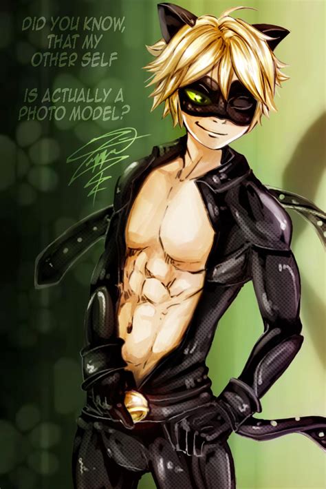 Chat Nuhhhhhwaaaaawrrrrr~ | Miraculous Ladybug | Know Your Meme