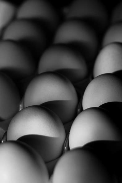 everyday rounded object shutterbugdiary