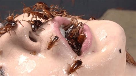 Insect Pussy Torture - Cumception