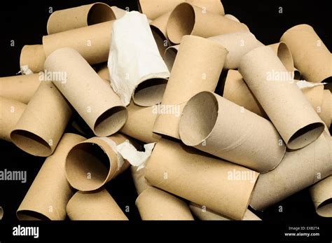 empty toilet paper roll stock photo alamy