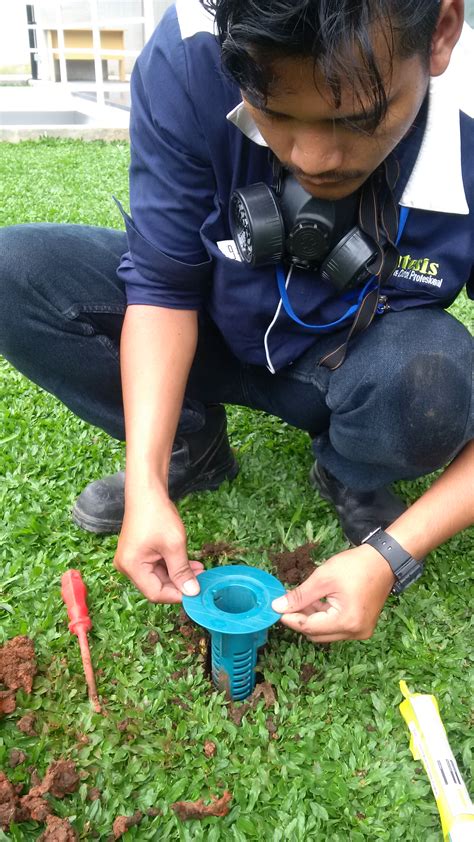 cara menghilangkan rayap di kayu