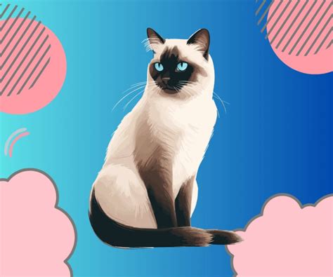 nama kucing putih mata biru  artinya dieditcom