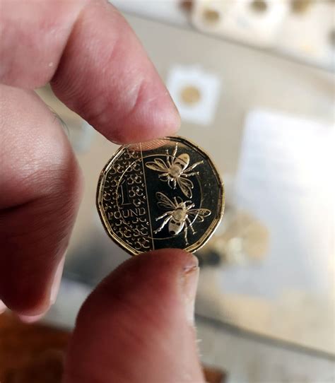 pound coin bees charles iii uncirculated uk coin ebay uk