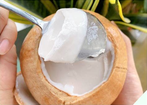 Rau Câu Thạch Dừa - Món Ngon, Bổ Dưỡng và Cách Chế Biến Đơn Giản