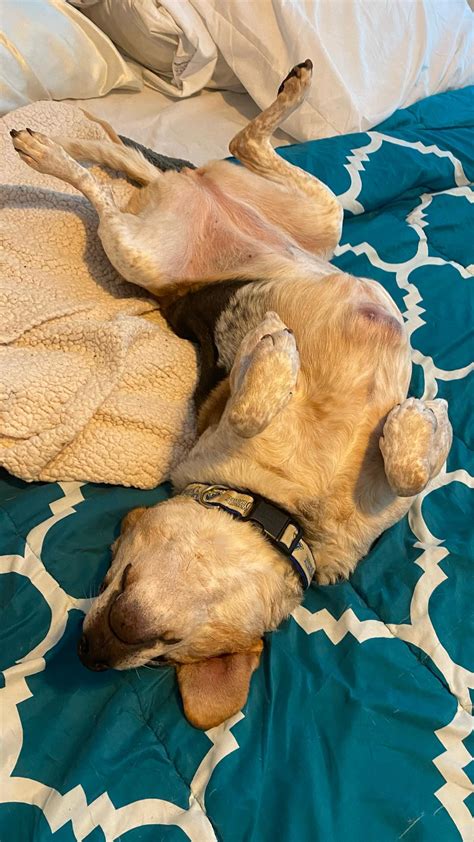 The Unexpected Dangers Of Reno Body Rubs You Need To Know NOW Image 9