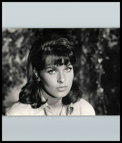 1960s SENTA BERGER STYLISH POSE STUNNING PORTRAIT KEYSTONE ORIG PHOTO