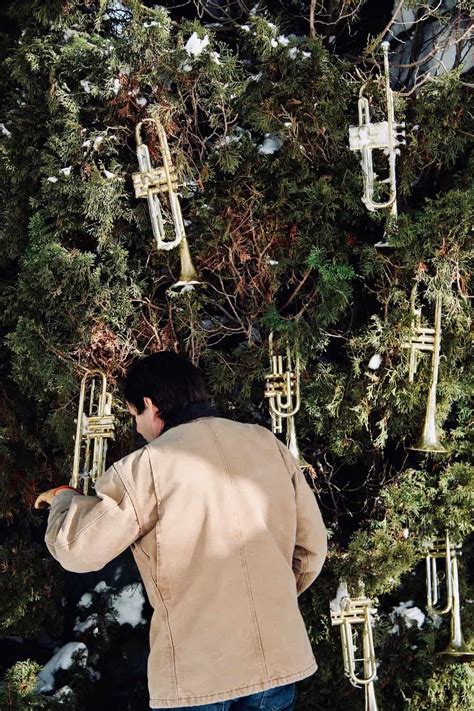 how to care for a trumpet vine