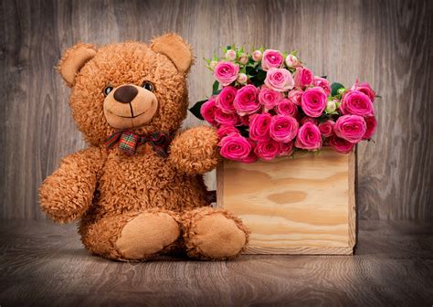 wallpapers teddy bear wallpaper cave