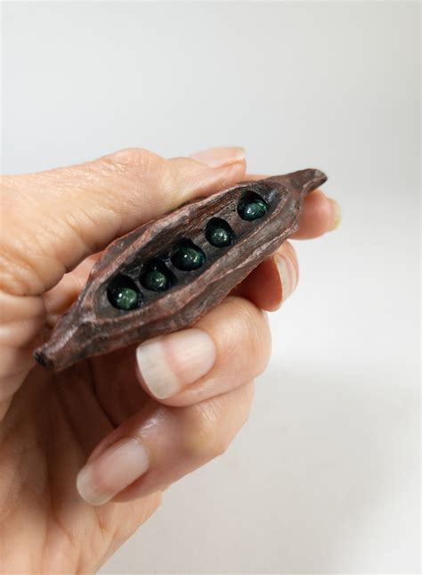 Seed pod | American Association of Woodturners