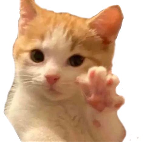 Gatito Saludando