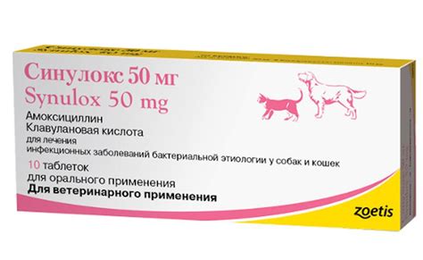 Синулокс для собак: инструкция по применению, отзывы