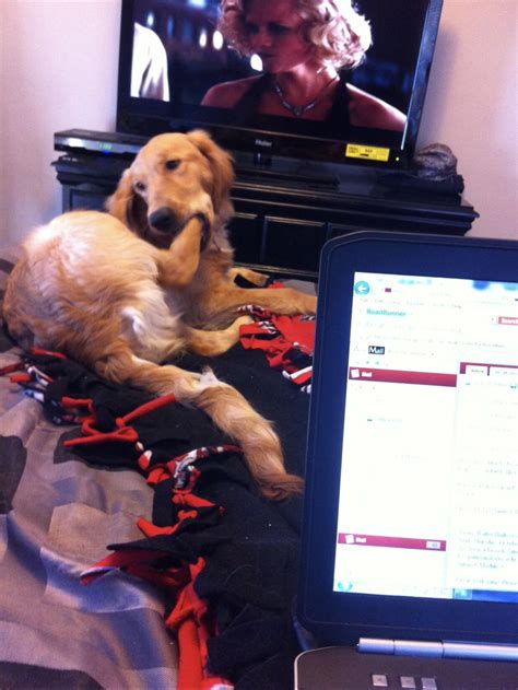 114 best Amirah images on Pholder | Pickonepornstar, Porn Star HQ and Porn