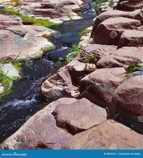 Drying Up Stream. Shot. Cracking Clay On Surface Of Ground Near Drying