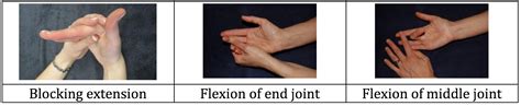 Examples of finger exercises – Hand Therapy Group