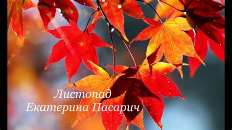 Листопад - YouTube