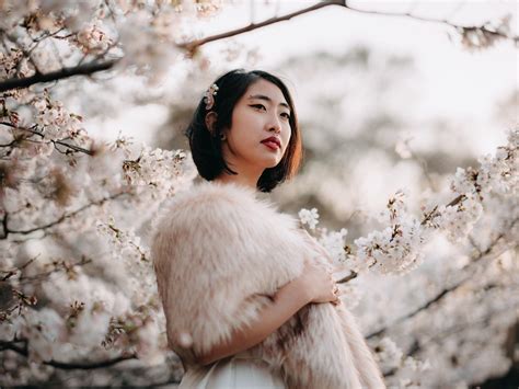 Pre Wedding photoshoot in beautiful Sakura Cherry Blossoms — Sam Spicer