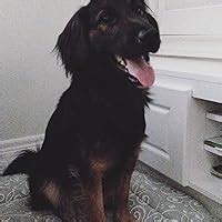 A Sorceress Comes to Call by T. Kingfisher | Goodreads