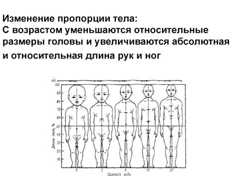 основы педиатрии и гигиены - презентация онлайн