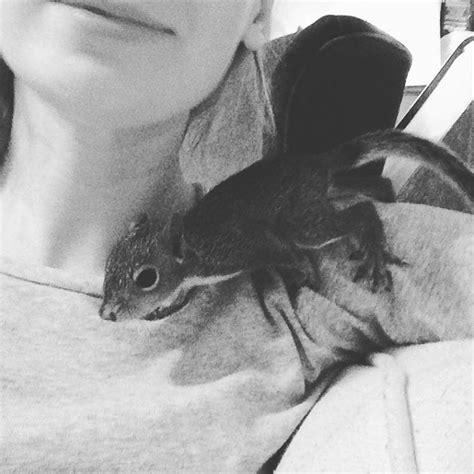 El rescate de un bebé ardilla que ha dado la vuelta al mundo