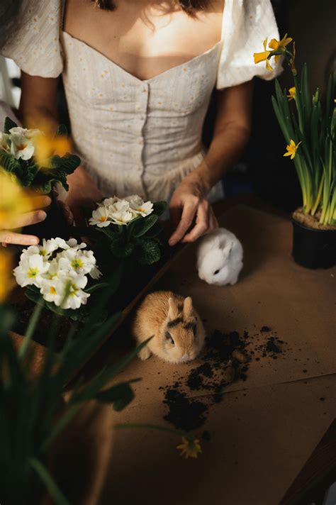 Mature+Woman+Clevage Photos, Download The BEST Free Mature+Woman