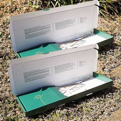 trees pack freebies   samples  mail