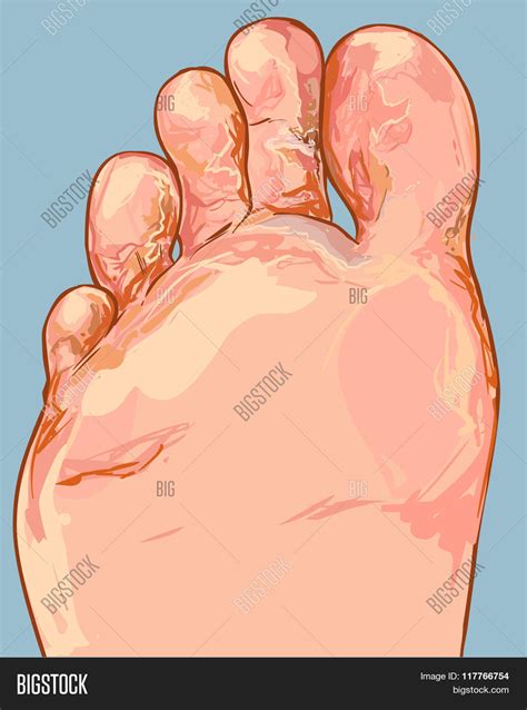 Vector Illustration Vector & Photo (Free Trial) | Bigstock