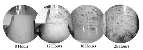 How to change yeasty kefir into bacteria rich kefir - Yemoos Nourishing ...
