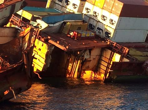 Experts break down what the mysterious rena project means 22