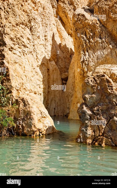 Mountain oasis Chebika Stock Photo - Alamy