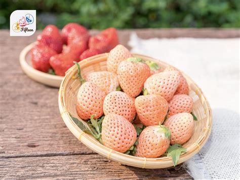 pink fruits   types  images