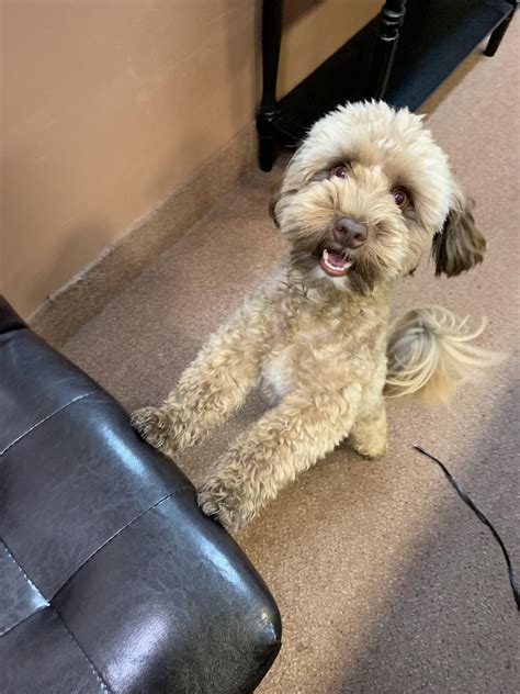 Watching the WGEM evening broadcast revealed an unexpected weather shift 30