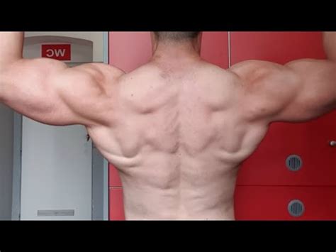 Ako na lepší CHRBAT domaci trening #fitness #chrbat - YouTube
