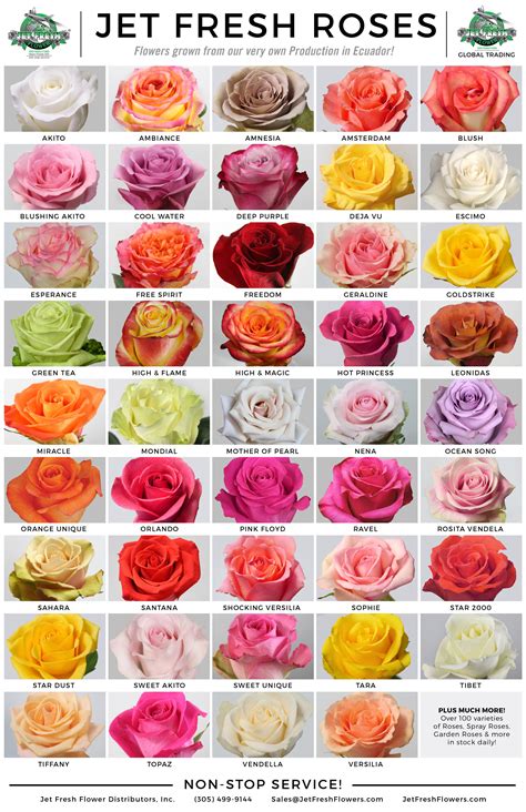 Rose Varieties Poster