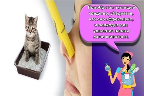 Запах мочи: как удалить и избавиться навсегда, 20 лучших средств чем ...