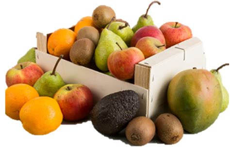 10 Best Organic Fruit Gift Baskets For Any Occasion – Treat Buyer