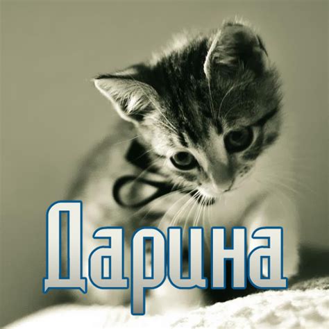 Картинки с именем Дарина (16 шт.)