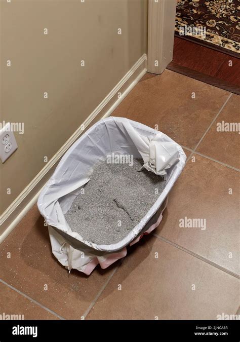 Litter box hi-res stock photography and images - Alamy