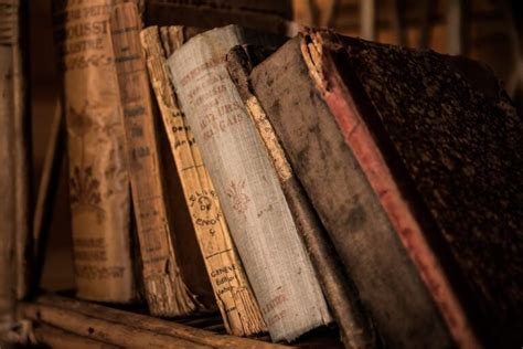 What Leading Historians Are Saying About the Anon IB Archive and the Future of History - ganmj99