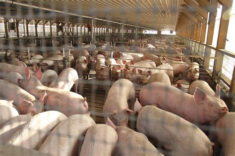 ANICE valora de forma positiva los cambios normativos de la UE