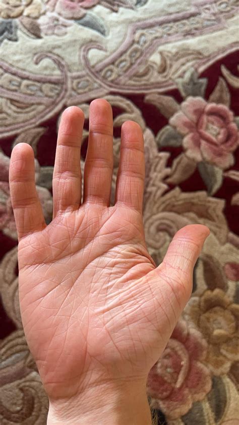 Palmistry Apprentice To Pro In 24 Hours The Easiest 4