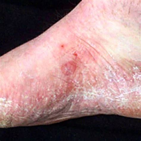 foot ethics  wellness clinic