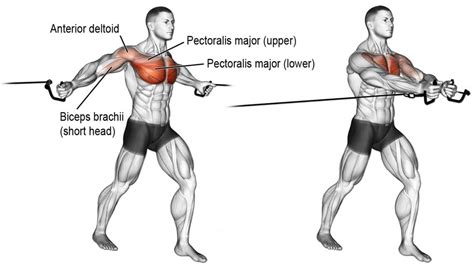 ultimate cable crossover guide  maximum chest gains fitness volt