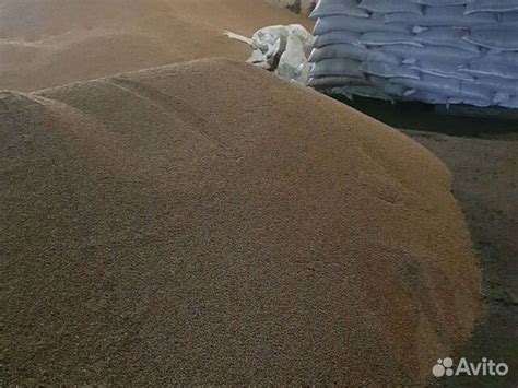 Корма для сельскохозяйственных животных купить в Прокопьевске ...