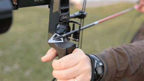 arrow rest selection  bowhunters bowhuntingcom