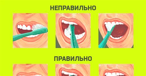 Как правильно чистить зубы