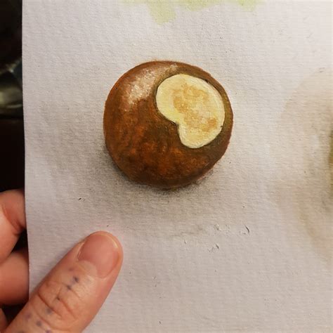 Conker drawing by Yānā Moon Craft & Art | Doodle Addicts