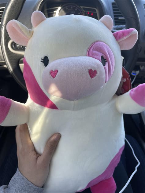 I can’t believe my eyes 🤩 : r/squishmallow