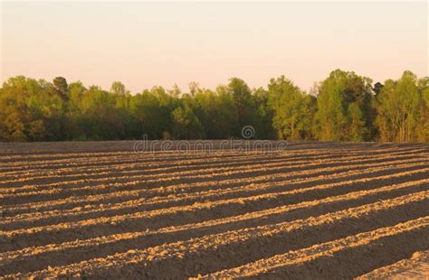 furrows stock photo image  plowed dirt agricultural