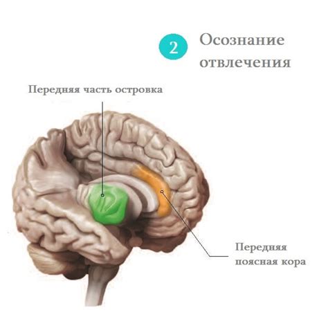 Внимательность и концентрация l Изученная наукой медитация