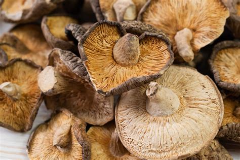 Are Shiitake Mushrooms Psychedelic - RYZE Superfoods